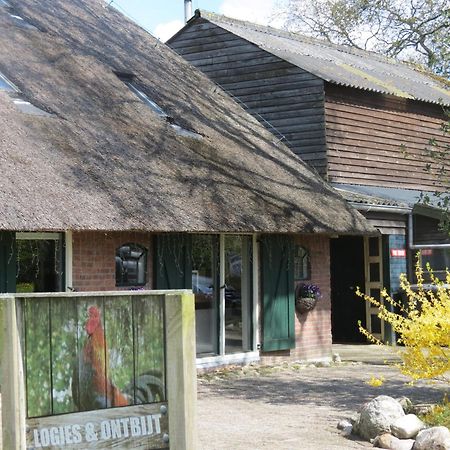B&B De Berghoeve Ruinen Exterior foto