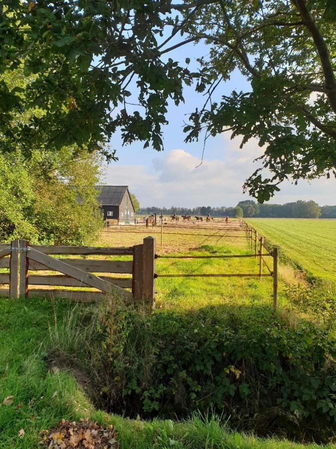 B&B De Berghoeve Ruinen Exterior foto