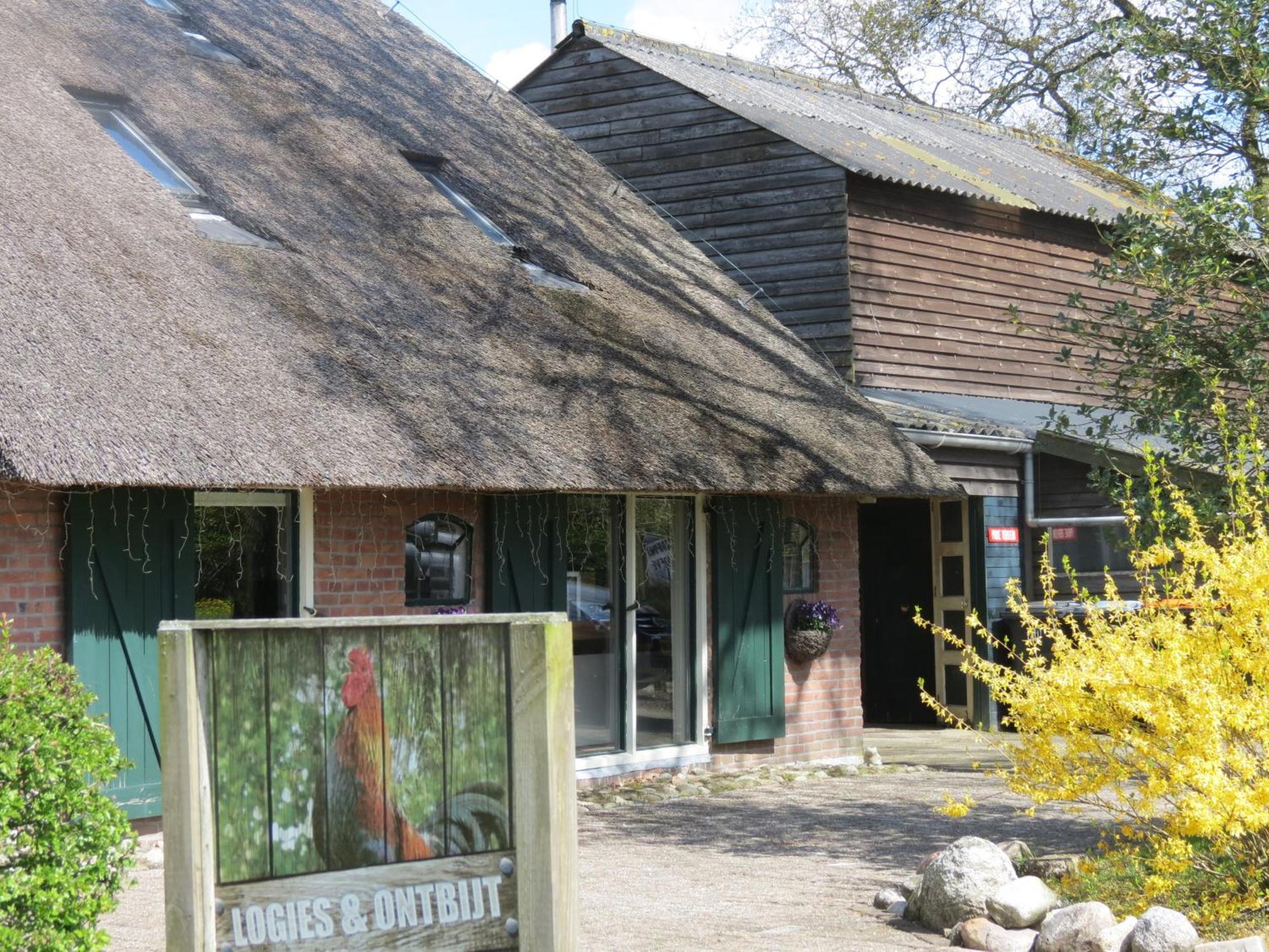B&B De Berghoeve Ruinen Exterior foto